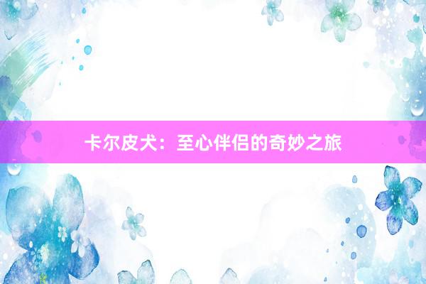 卡尔皮犬：至心伴侣的奇妙之旅